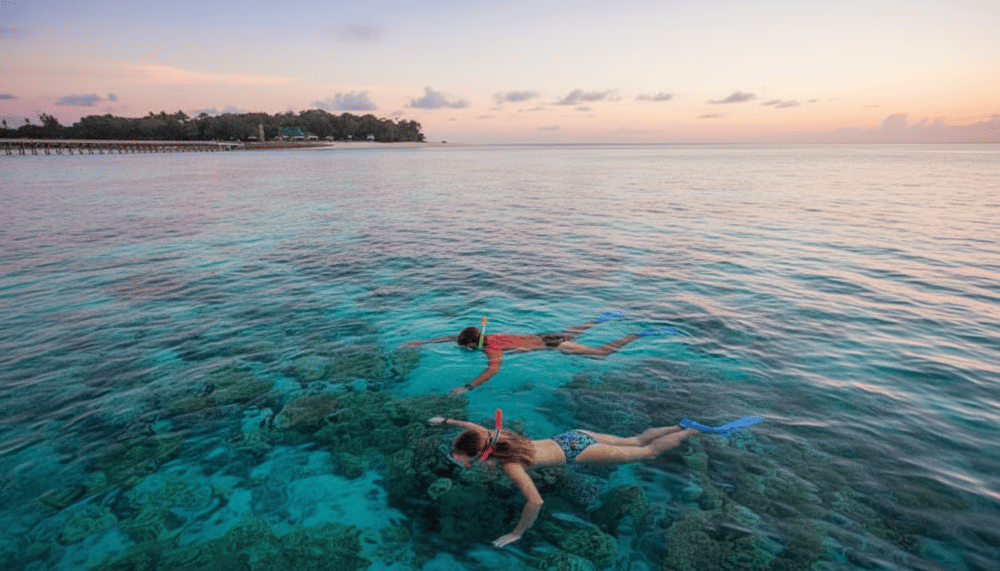 The ecosystem at Hon Kho is incredibly rich and diverse